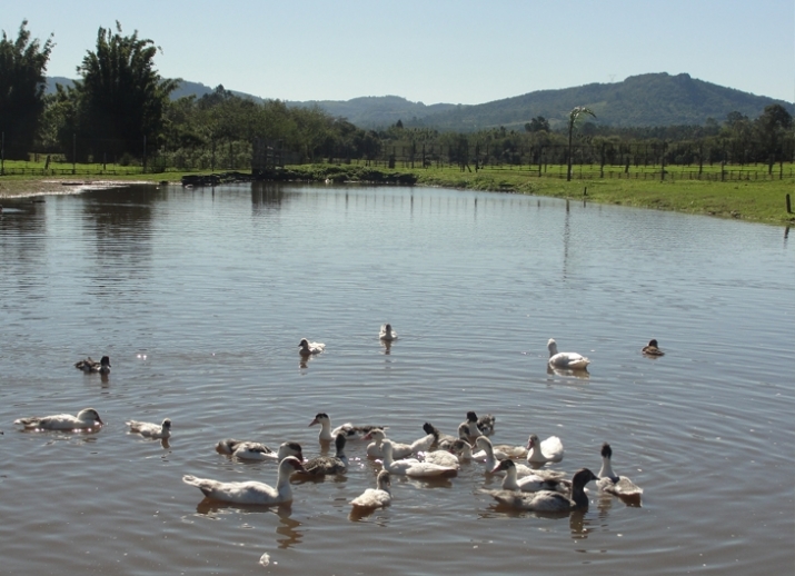 Açudes do Sítio Merode