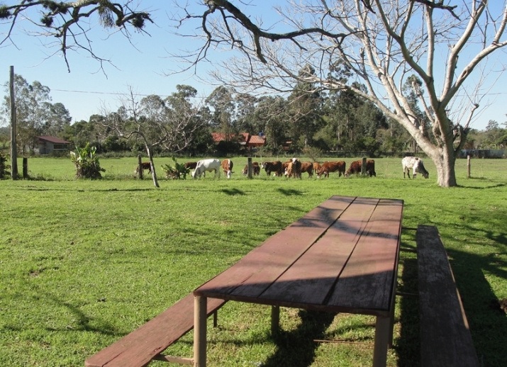 Animais do Sítio Merode